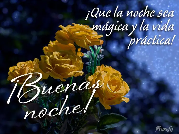¡Que la noche sea mágica y la vida práctica! ¡Buenas noche!