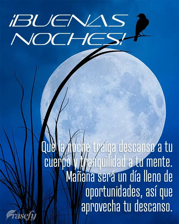 Que la noche traiga descanso a tu cuerpo y tranquilidad a tu mente. Mañana será un día lleno de oportunidades, así que aprovecha tu descanso. ¡Buena...