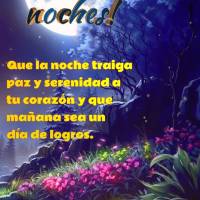 Que la noche traiga paz y serenidad a tu corazón y que mañana sea un día de logros. ¡Buenas noches!