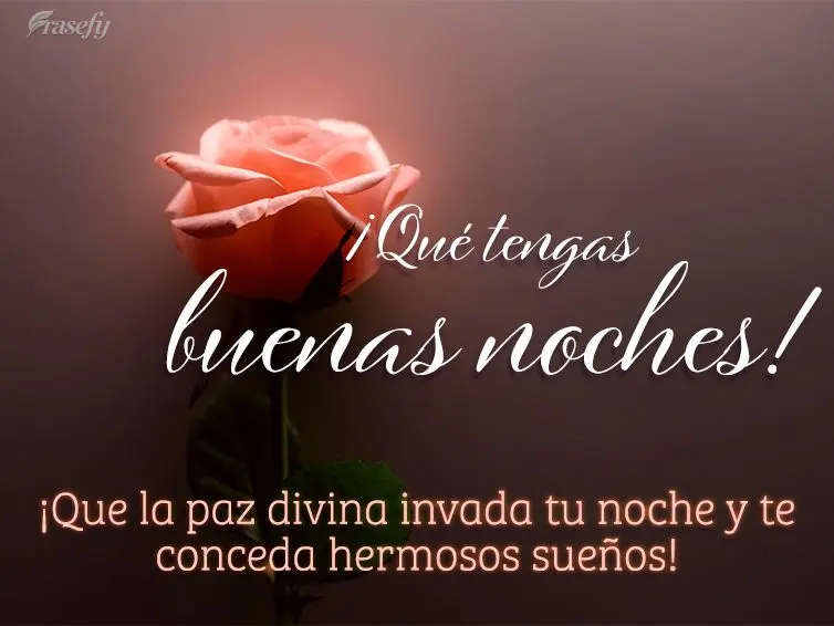 ¡Que la paz divina invada tu noche y te conceda hermosos sueños! ¡Qué tengas buenas noches!