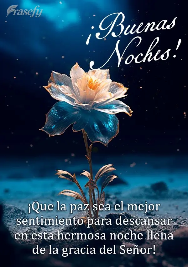 ¡Que la paz sea el mejor sentimiento para descansar en esta hermosa noche llena de la gracia del Señor! ¡Buenas noches!