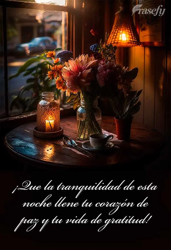 ¡Que la tranquilidad de esta noche llene tu corazón de paz y tu vida de gratitud!