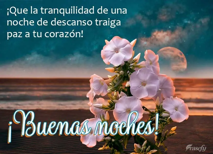 ¡Que la tranquilidad de una noche de descanso traiga paz a tu corazón! ¡Buenas noches!