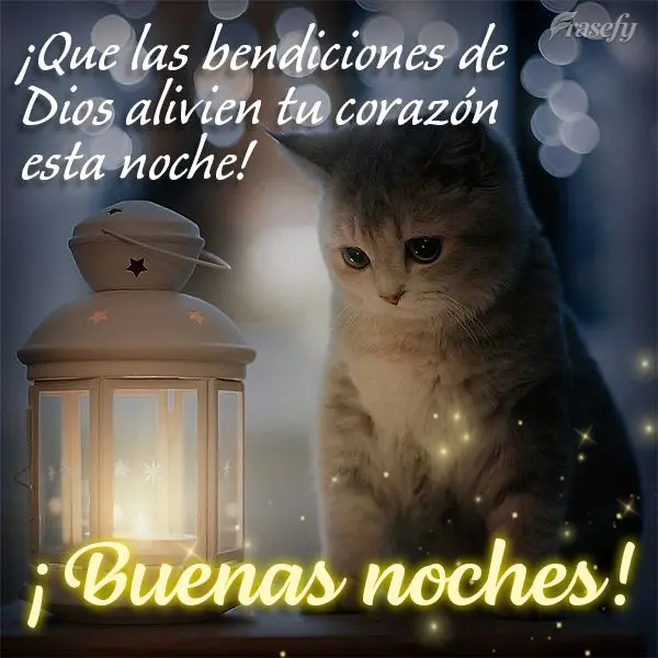 ¡Que las bendiciones de Dios alivien tu corazón esta noche! ¡Buenas noches!