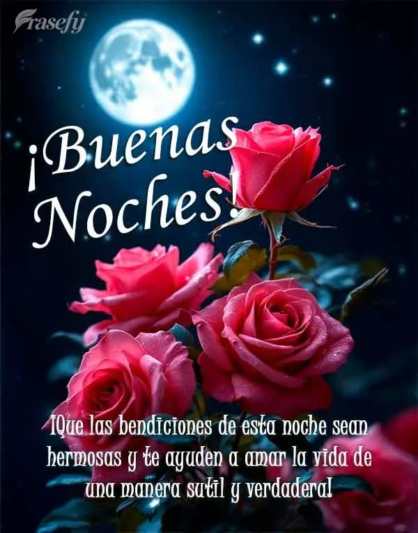 ¡Que las bendiciones de esta noche sean hermosas y te ayuden a amar la vida de una manera sutil y verdadera! ¡Buenas noches!
