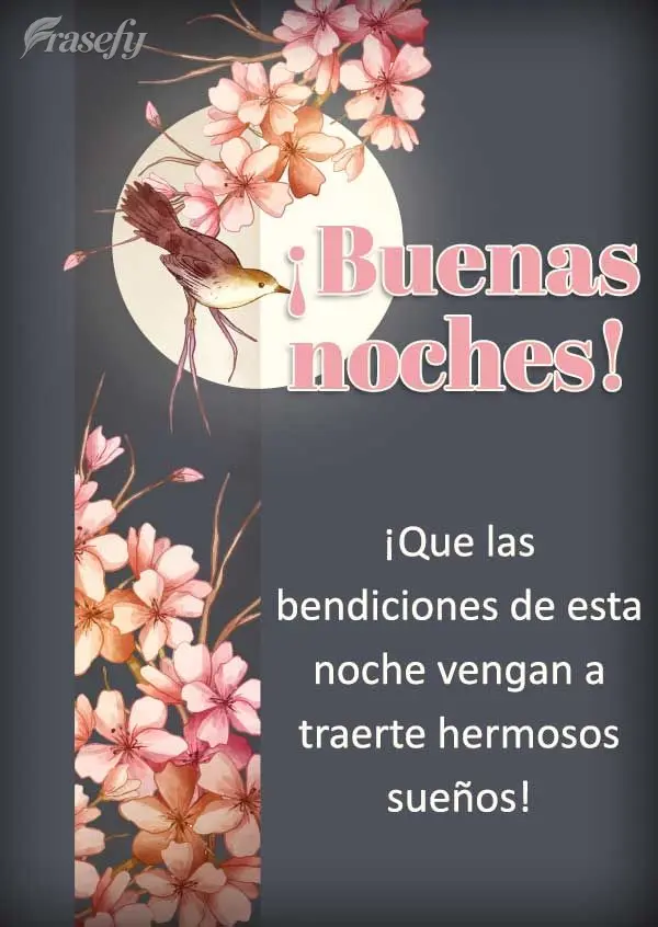 ¡Que las bendiciones de esta noche vengan a traerte hermosos sueños! ¡Buenas noches!