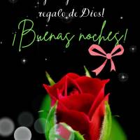 ¡Que las bendiciones de hoy vengan como un regalo de Dios! ¡Buenas noches!
