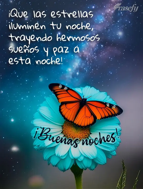 ¡Que las estrellas iluminen tu noche, trayendo hermosos sueños y paz a esta noche! ¡Buenas noches!