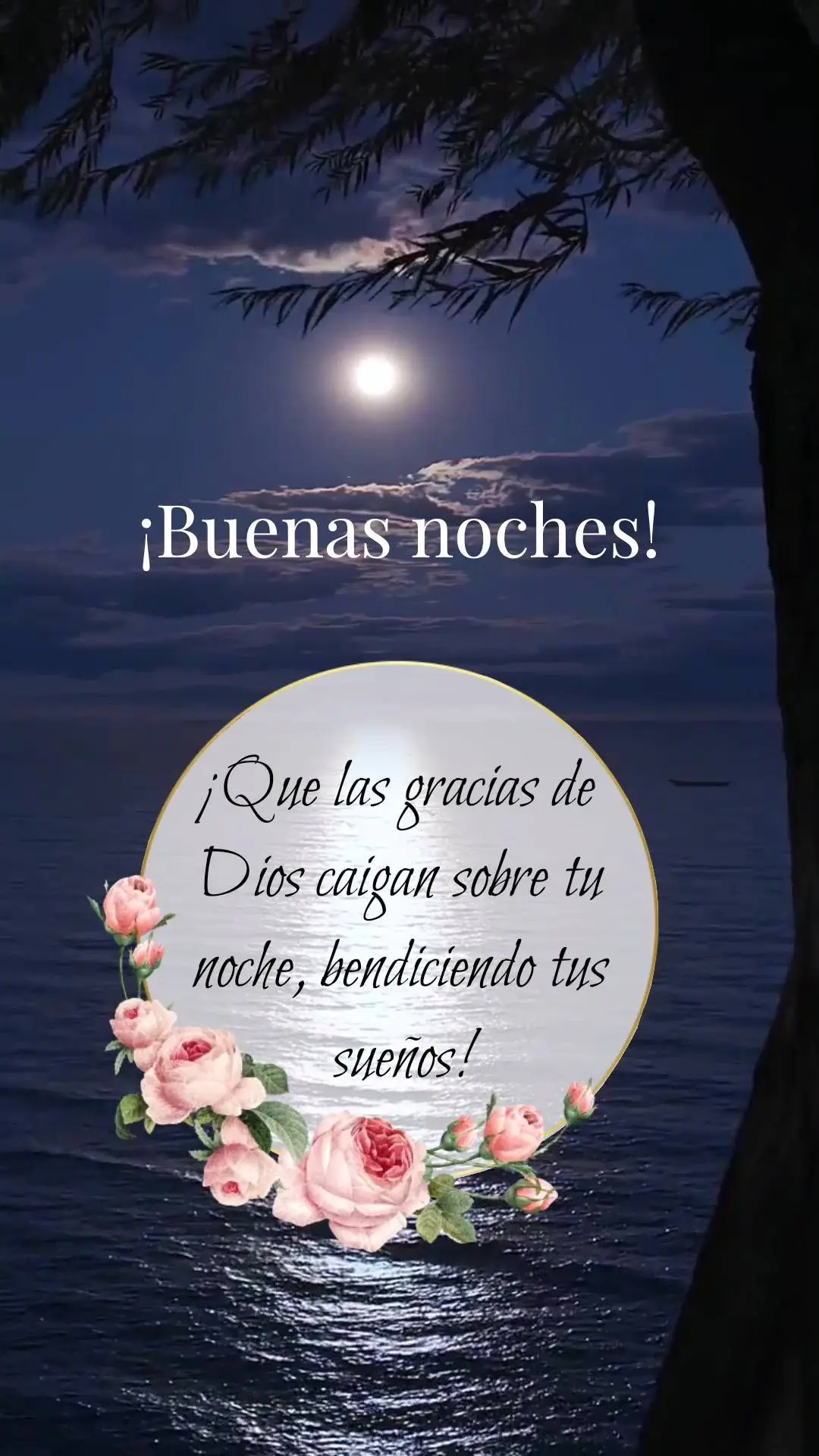 ¡Que las gracias de Dios caigan sobre tu noche, bendiciendo tus sueños! ¡Buenas noches!
