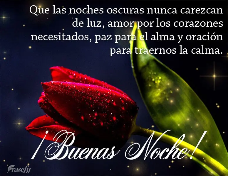 Que las noches oscuras nunca carezcan de luz, amor por los corazones necesitados, paz para el alma y oración para traernos la calma. ¡Buenas noche!