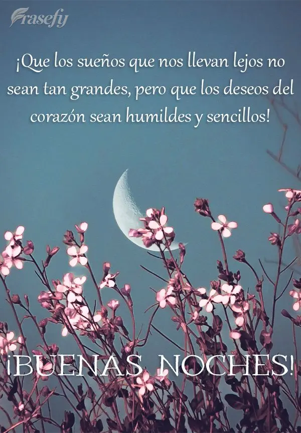 ¡Que los sueños que nos llevan lejos no sean tan grandes, pero que los deseos del corazón sean humildes y sencillos! ¡Buenas noches!