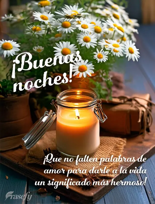 ¡Que no falten palabras de amor para darle a la vida un significado más hermoso! ¡Buenas noches!