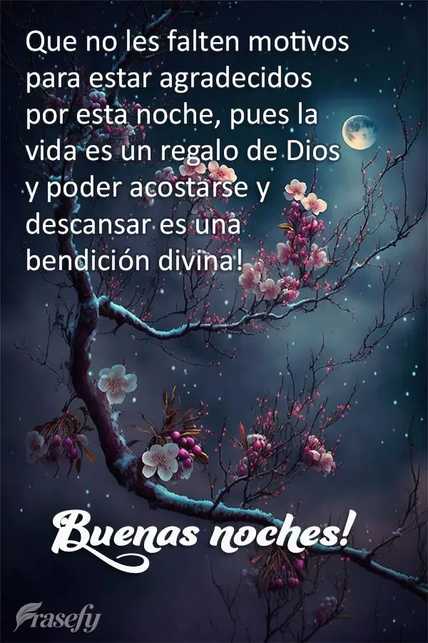 Que no les falten motivos para estar agradecidos por esta noche, pues la vida es un regalo de Dios y poder acostarse y descansar es una bendición divina...