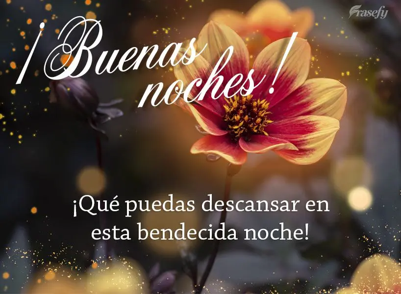 ¡Qué puedas descansar en esta bendecida noche! ¡Buenas noches!