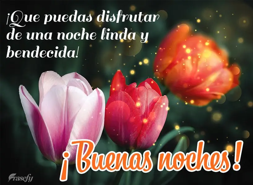 ¡Que puedas disfrutar de una noche linda y bendecida! ¡Buenas noches!