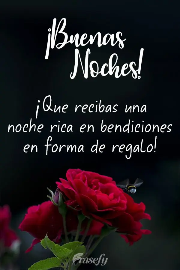 ¡Que recibas una noche rica en bendiciones en forma de regalo! ¡Buenas noches!