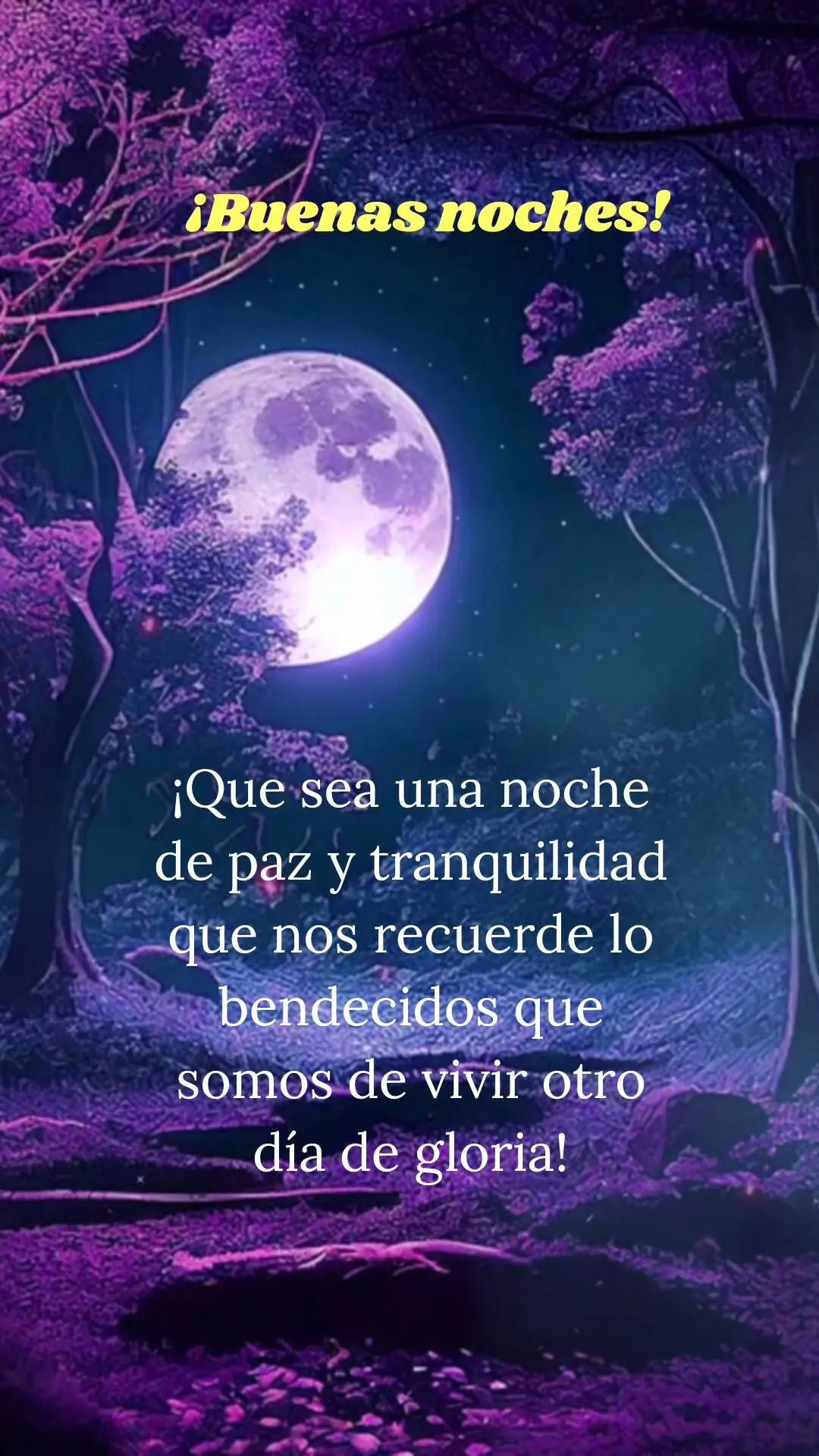 ¡Que sea una noche de paz y tranquilidad que nos recuerde lo bendecidos que somos de vivir otro día de gloria! ¡Buenas noches!