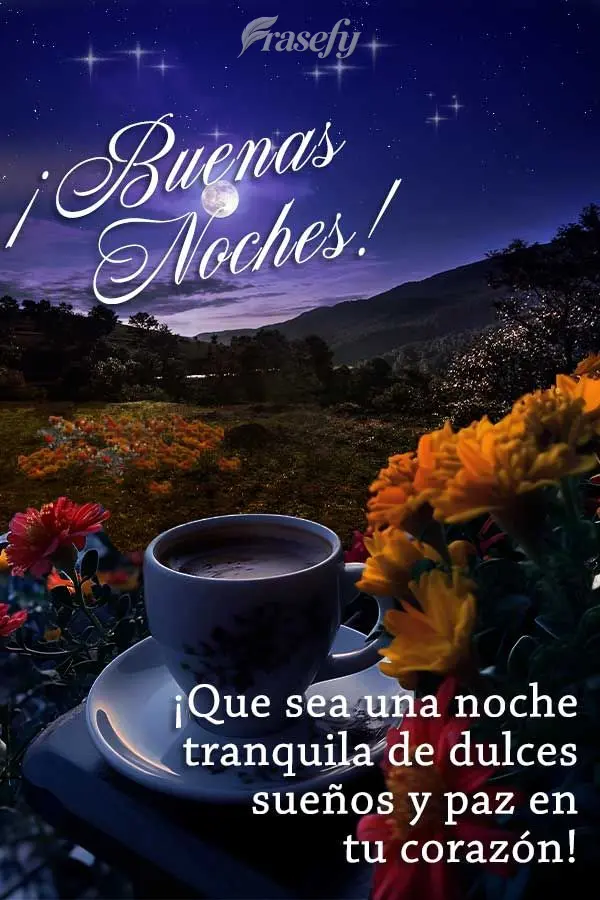 ¡Que sea una noche tranquila de dulces sueños y paz en tu corazón! ¡Buenas noches!