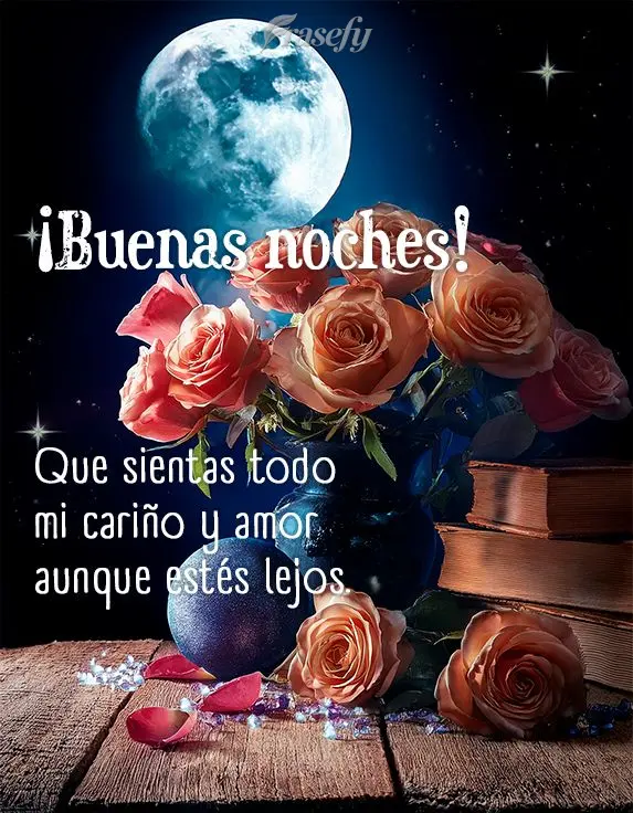 Que sientas todo mi cariño y amor aunque estés lejos. ¡Buenas noches!