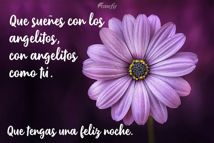 Que sueñes con los angelitos, con angelitos como tú. Que tengas una feliz noche