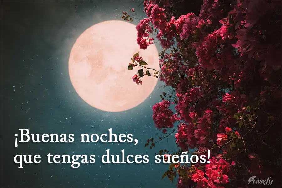 ¡Buenas noches, que tengas dulces sueños!
