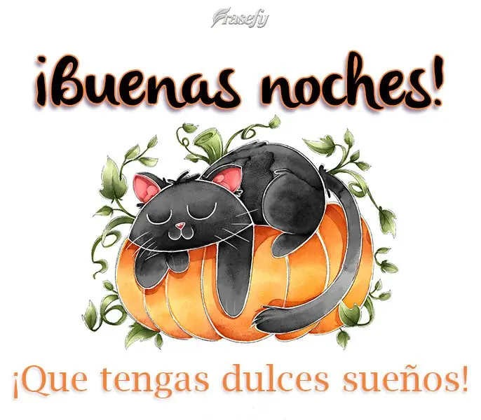 ¡Buenas noches! ¡Que tengas dulces sueños!