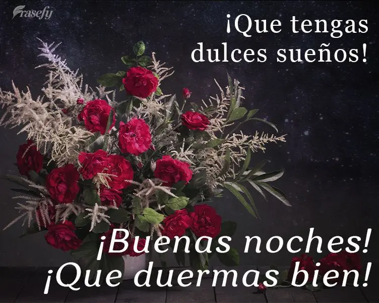 ¡Que tengas dulces sueños! ¡Buenas noches! ¡Que duermas bien!