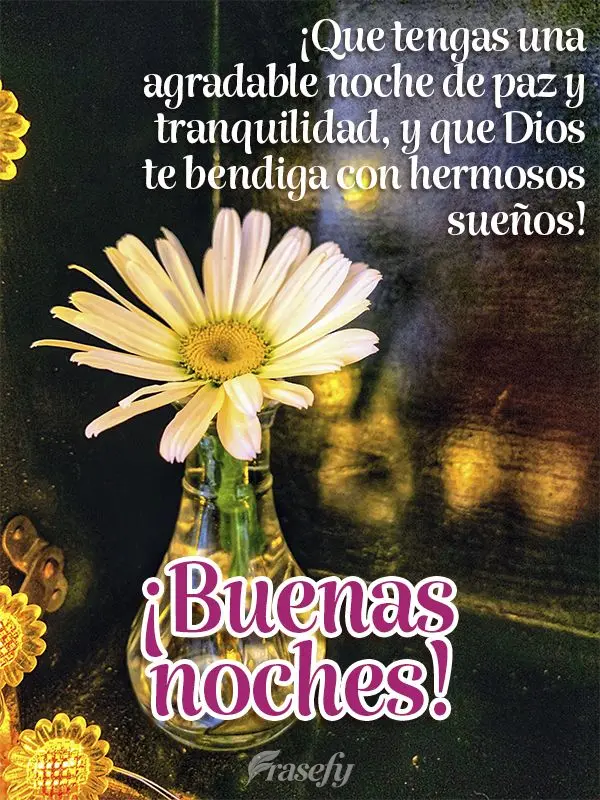 ¡Que tengas una agradable noche de paz y tranquilidad, y que Dios te bendiga con hermosos sueños! ¡Buenas noches!