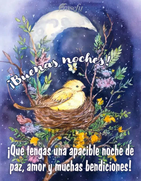 ¡Que tengas una apacible noche de paz, amor y muchas bendiciones! ¡Buenas noches!