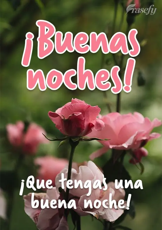 ¡Que tengas una buena noche! ¡Buenas noches!