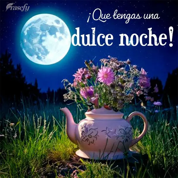 ¡Que tengas una dulce noche!