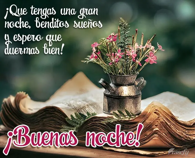 ¡Que tengas una gran noche, benditos sueños y espero que duermas bien! ¡Buenas noche!