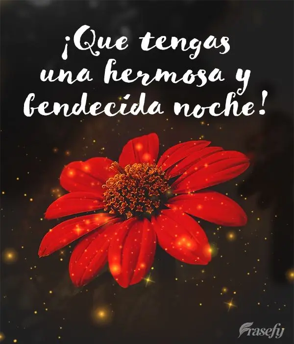 ¡Que tengas una hermosa y bendecida noche!