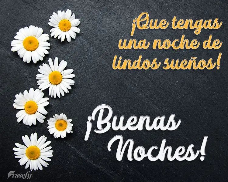¡Que tengas una noche de lindos sueños! ¡Buenas noches!