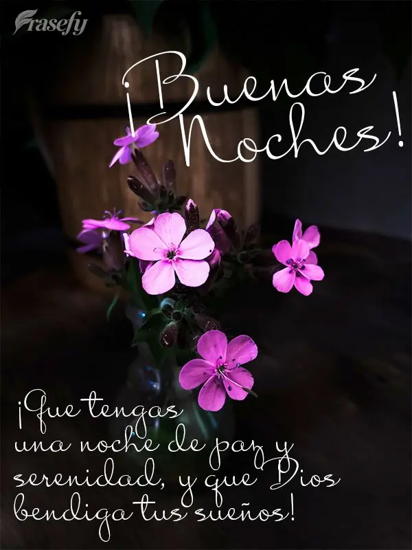 ¡Que tengas una noche de paz y serenidad, y que Dios bendiga tus sueños! ¡Buenas noches!