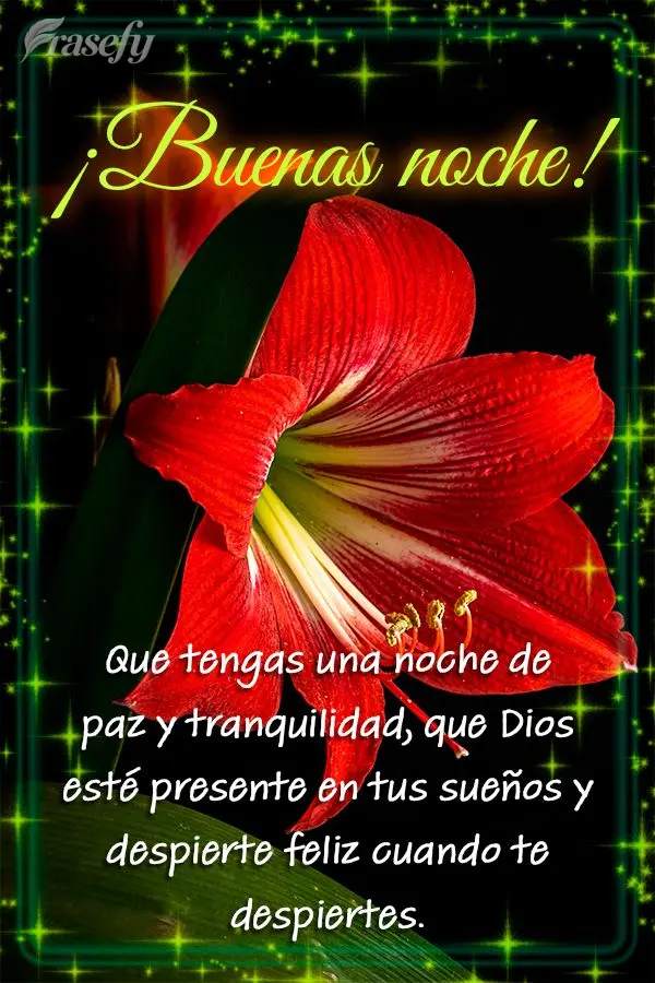 Que tengas una noche de paz y tranquilidad, que Dios esté presente en tus sueños y despierte feliz cuando te despiertes. ¡Buenas noche!