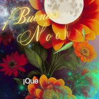 ¡Que tengas una noche mágica con la presencia de Dios en tu corazón! ¡Buenas noches!