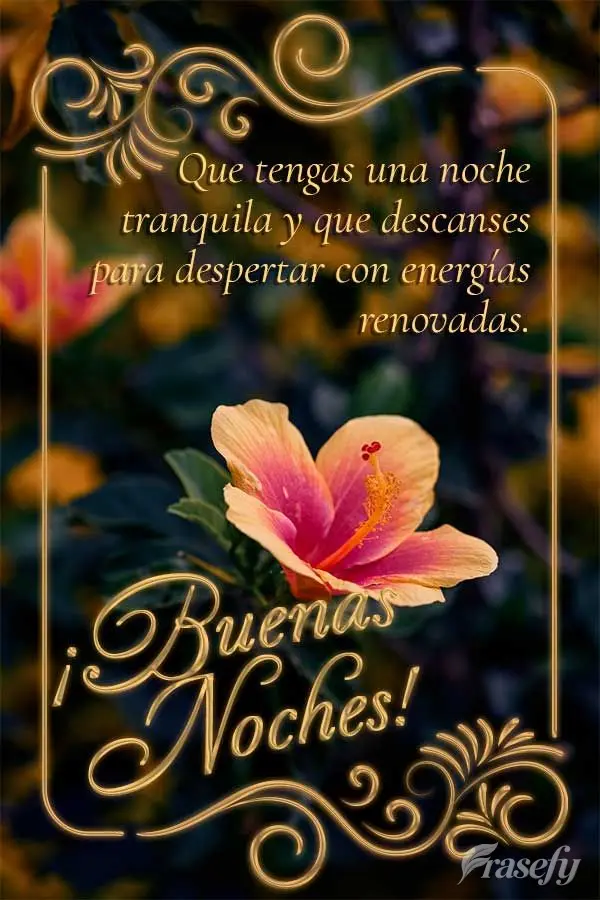 Que tengas una noche tranquila y que descanses para despertar con energías renovadas. ¡Buenas noches!