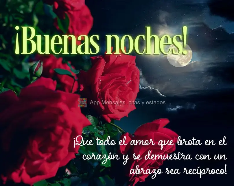¡Que todo el amor que brota en el corazón y se demuestra con un abrazo sea recíproco! ¡Buenas noches!