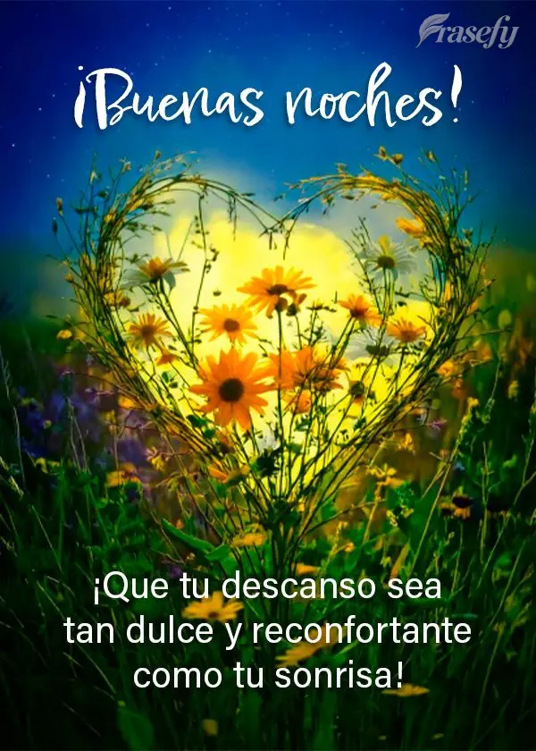 ¡Que tu descanso sea tan dulce y reconfortante como tu sonrisa! ¡Buenas noches!