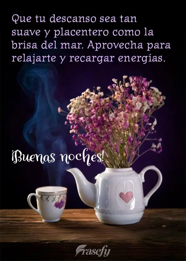 Que tu descanso sea tan suave y placentero como la brisa del mar. Aprovecha para relajarte y recargar energías. ¡Buenas noches!