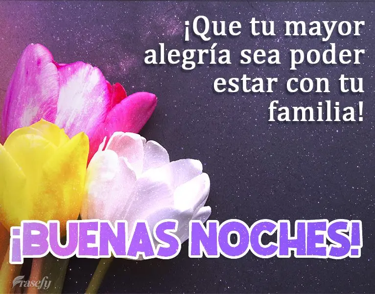 ¡Que tu mayor alegría sea poder estar con tu familia! ¡Buenas noches!