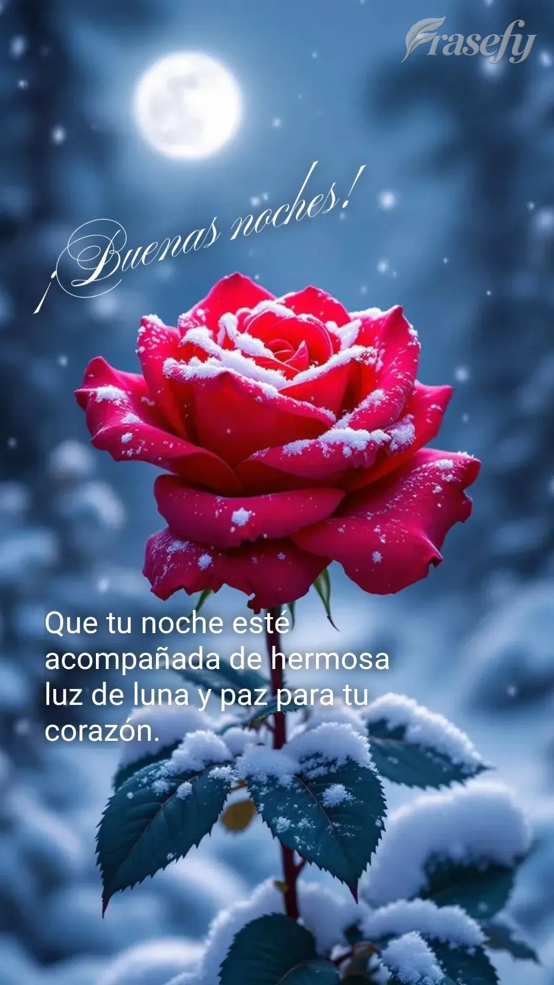 Que tu noche esté acompañada de hermosa luz de luna y paz para tu corazón. ¡Buenas noches!