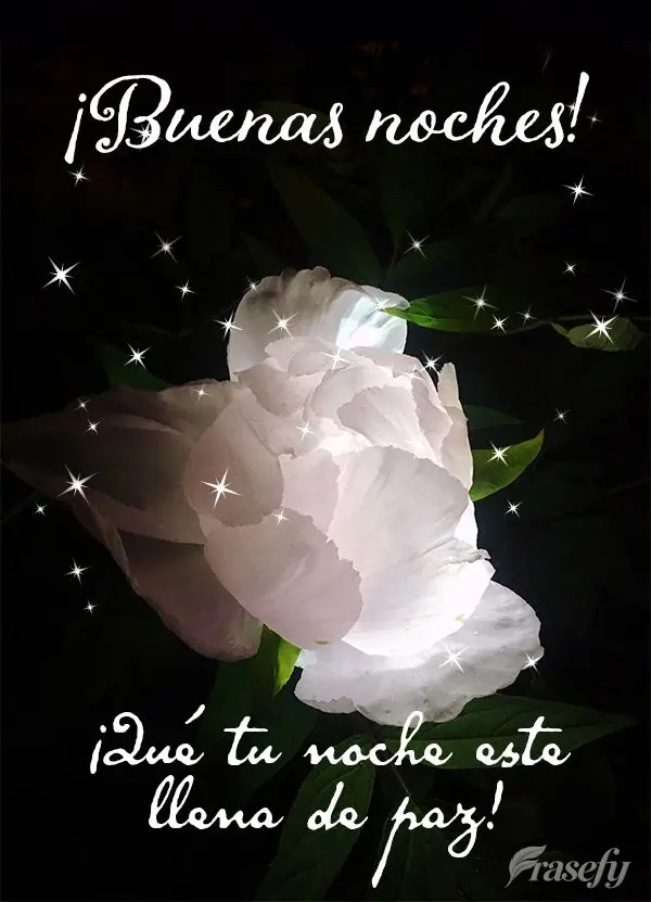 ¡Qué tu noche este llena de paz! ¡Buenas noches!