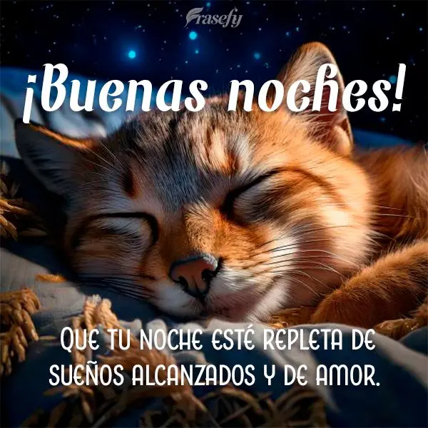 Que tu noche esté repleta de sueños alcanzados y de amor. ¡Buenas noches!