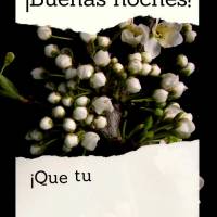 ¡Que tu noche sea bendecida y que tengas hermosos sueños! ¡Buenas noches!