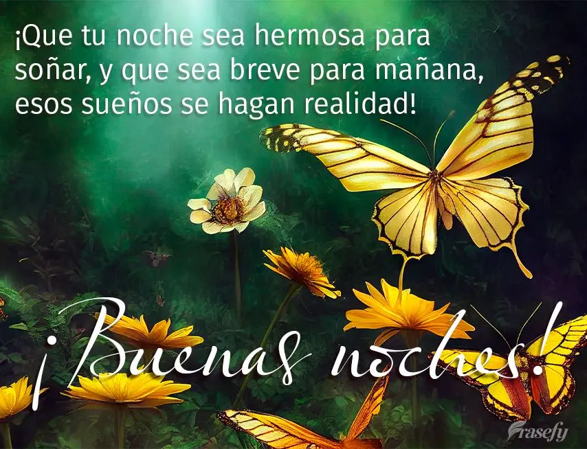 ¡Que tu noche sea hermosa para soñar, y que sea breve para mañana, esos sueños se hagan realidad! ¡Buenas noches!