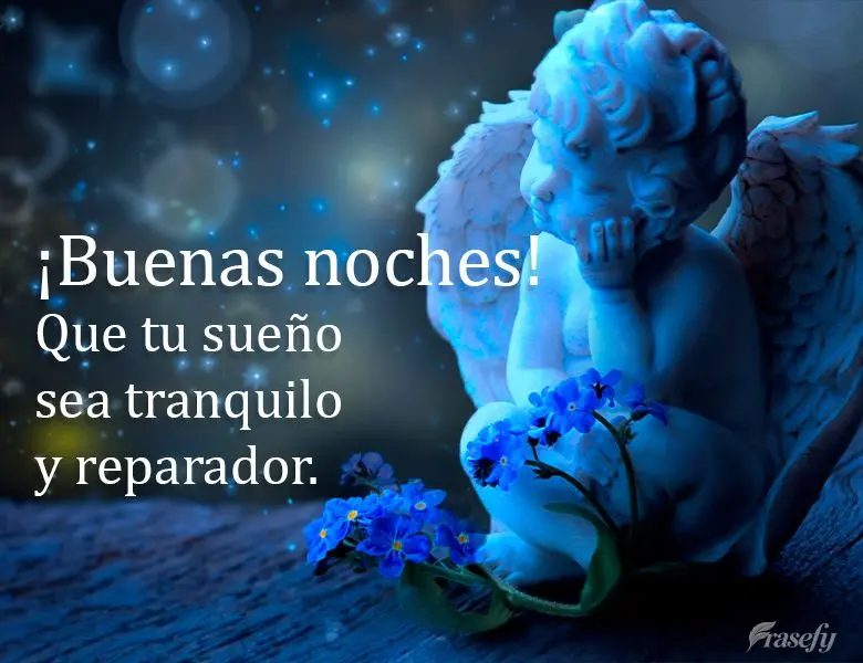 Que tu sueño sea tranquilo y reparador. ¡Buenas noches!