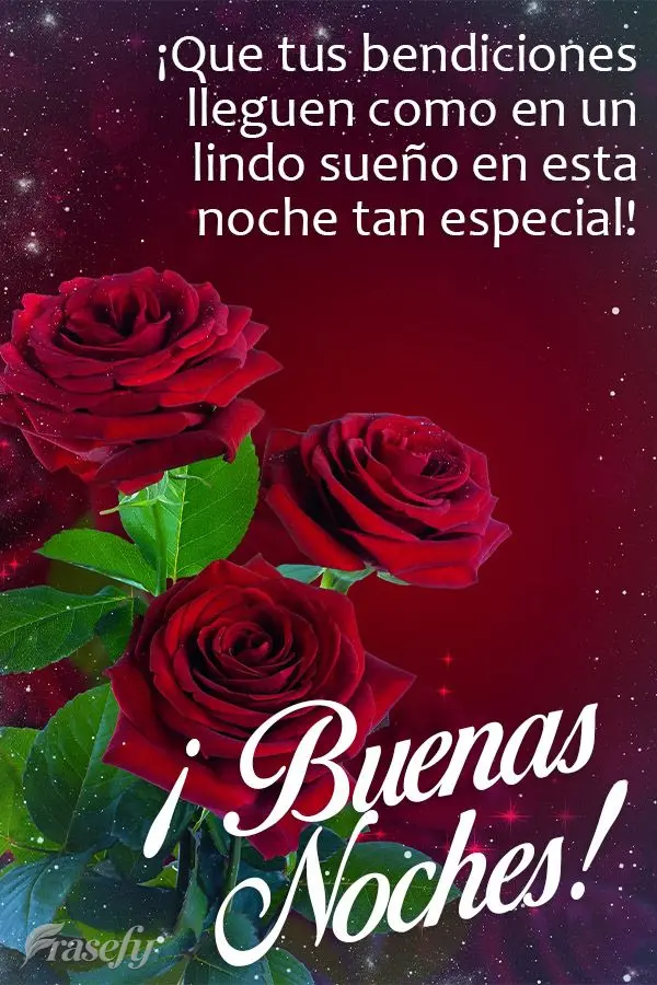 ¡Que tus bendiciones lleguen como en un lindo sueño en esta noche tan especial! ¡Buenas noches!
