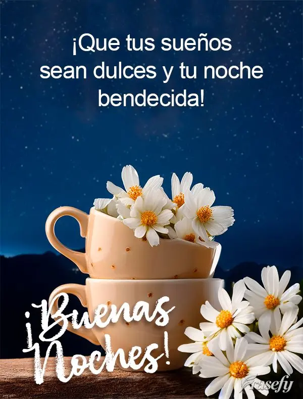 ¡Que tus sueños sean dulces y tu noche bendecida! ¡Buenas noches!